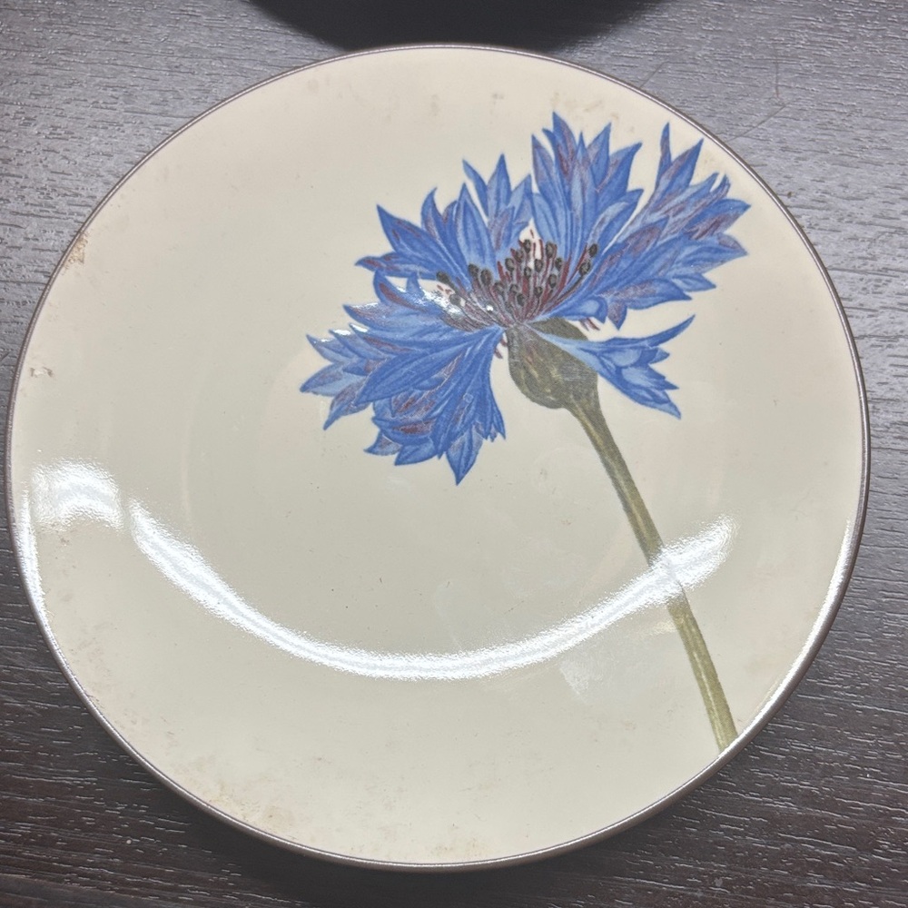 Noritake Colorwave Chocolate plates.set of 4.